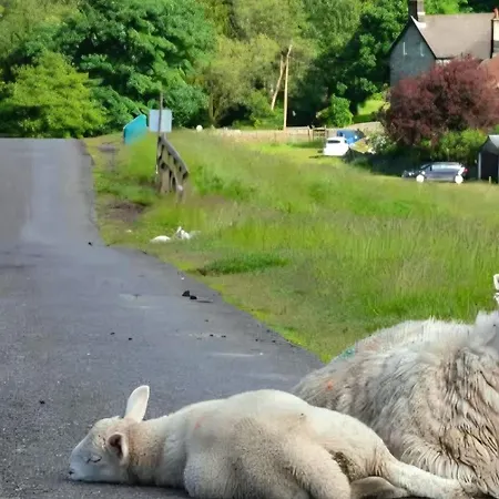 Englefield גואת'לנד