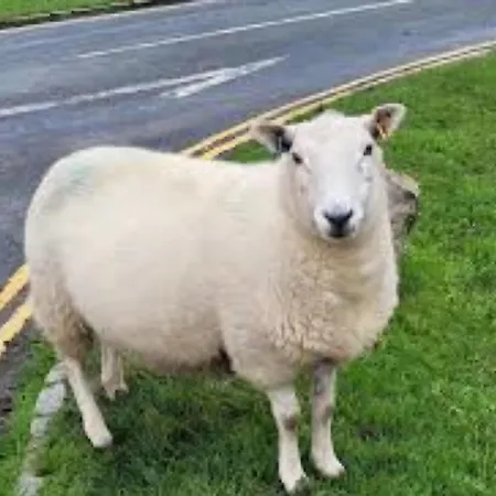 Englefield בית הארחה