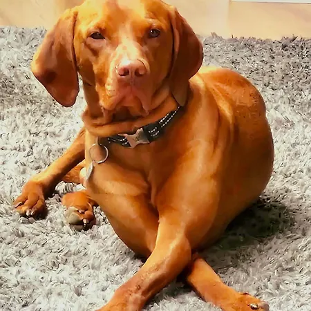 Englefield גואת'לנד