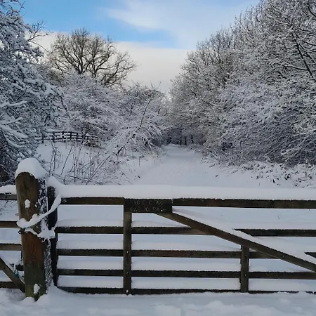 Englefield בית הארחה