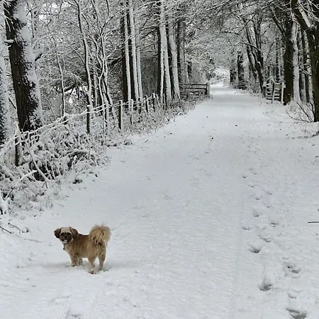 Englefield 3* גואת'לנד