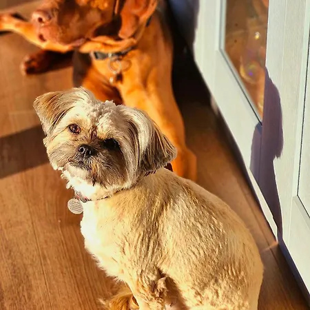 בית הארחה Englefield