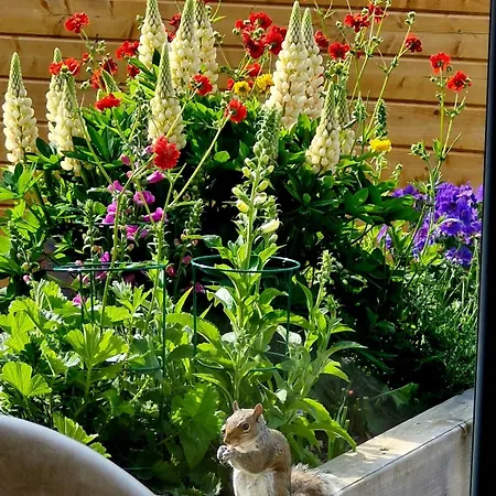 בית הארחה Englefield