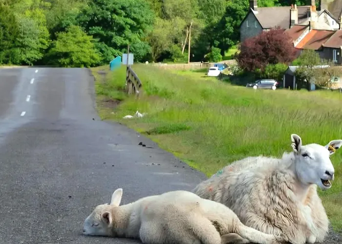 Englefield Goathland