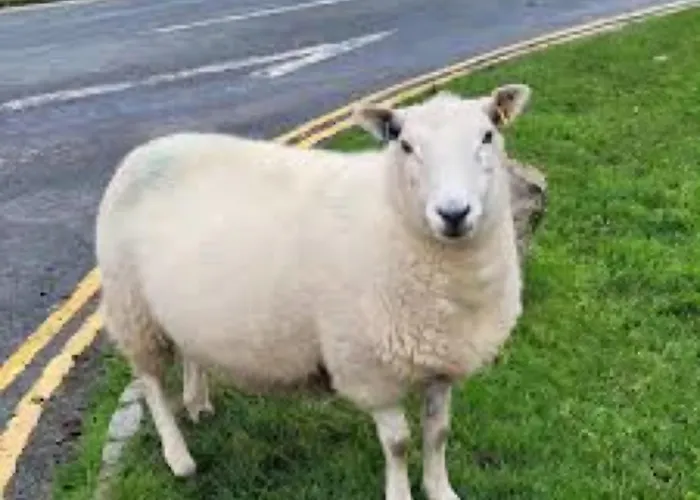 Englefield Guest house