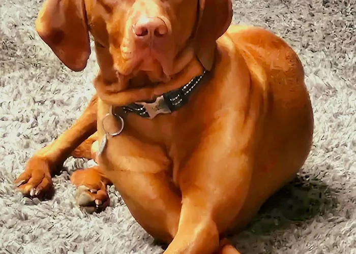 Englefield Goathland