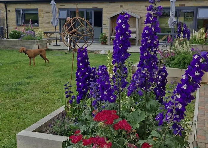 Guest house Englefield 3*