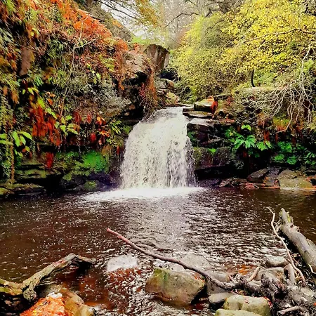 Englefield Pensjonat 3*