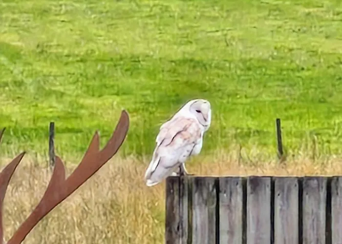 Englefield Pensjonat Goathland