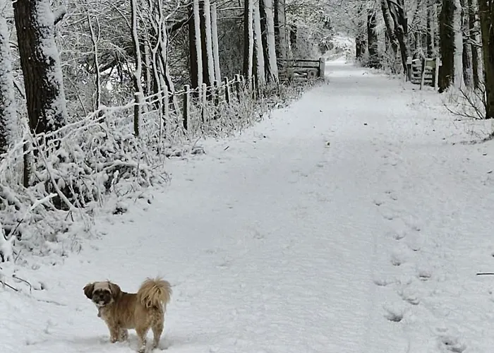 Englefield 3* Goathland