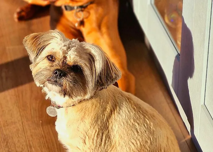 Pensjonat Englefield