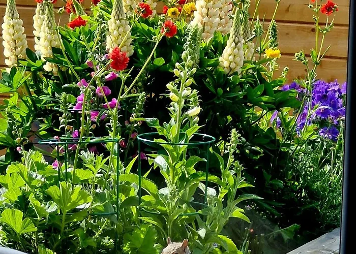 Pensjonat Englefield